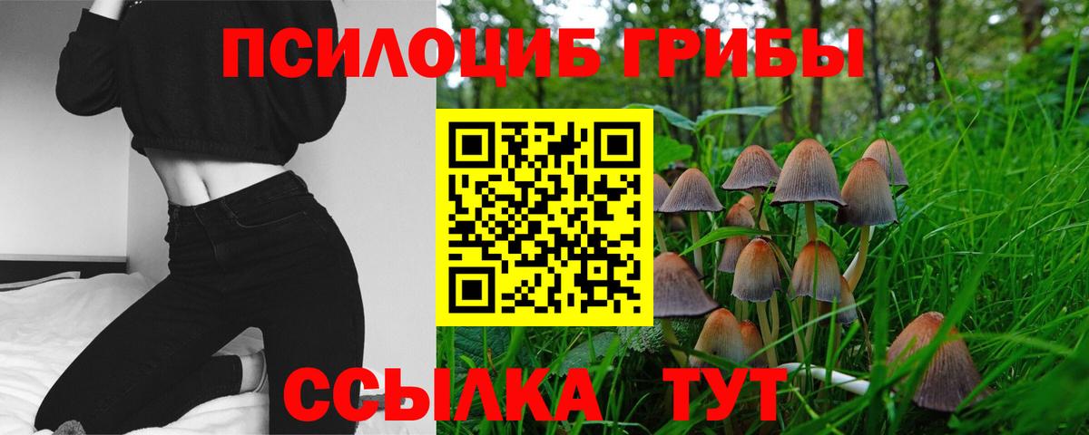Псилоцибиновые грибы GOLDEN TEACHER  Вход с VPN  Саянск 